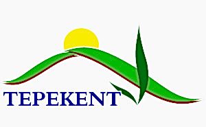 TEPEKENT